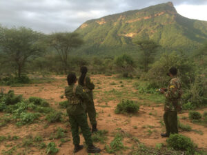 three rangers facing away from the camera looking into the bush with a mountain in the background