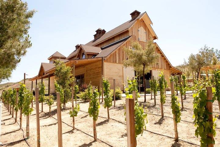 a natural wood barn-like structure in a vineyard