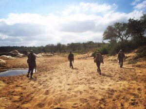 four rangers walking through sand