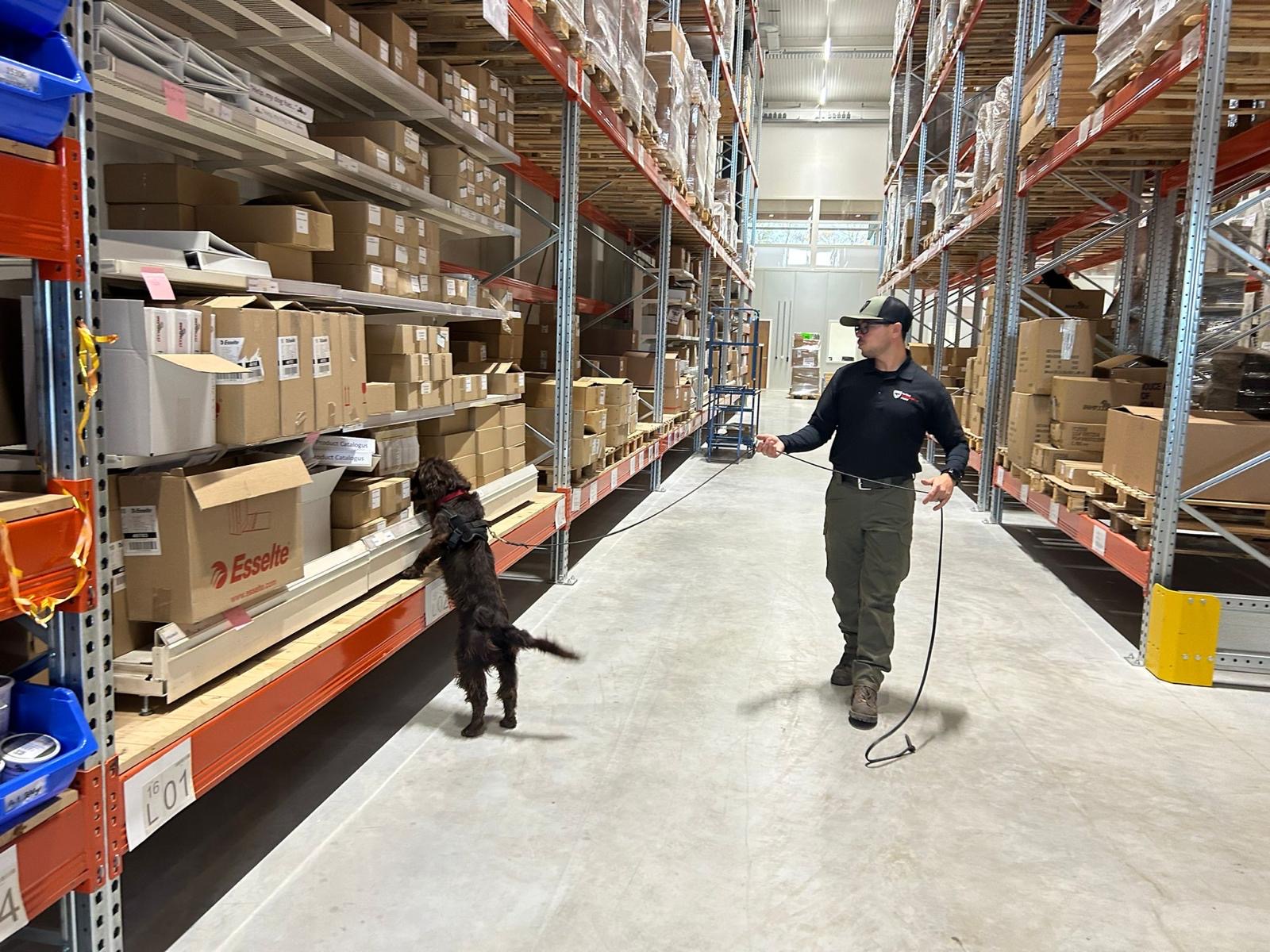 Mike Veale counter wildlife trafficking K9 searches training