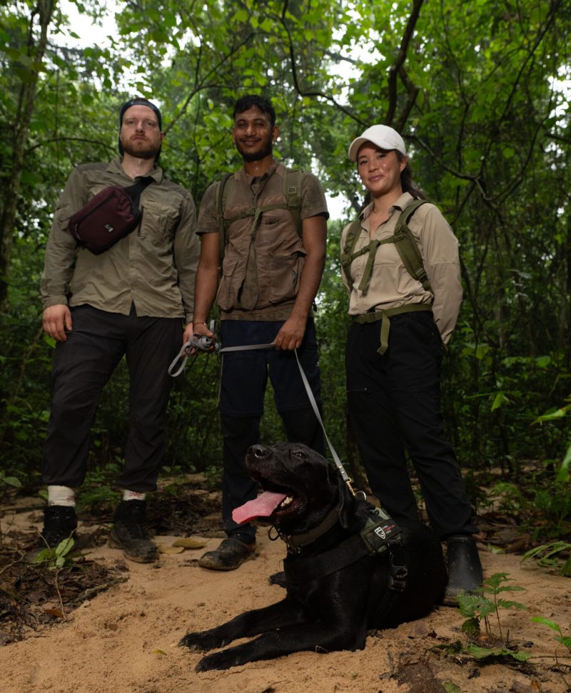 Lauren Lee global conservation force pangolin conservation K9 clive